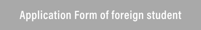 Application Form of foreign student (Word)